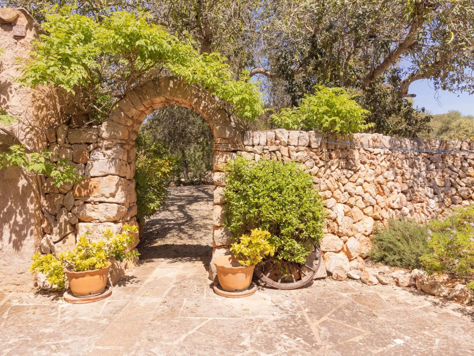 Finca Mal Ric - Dehors