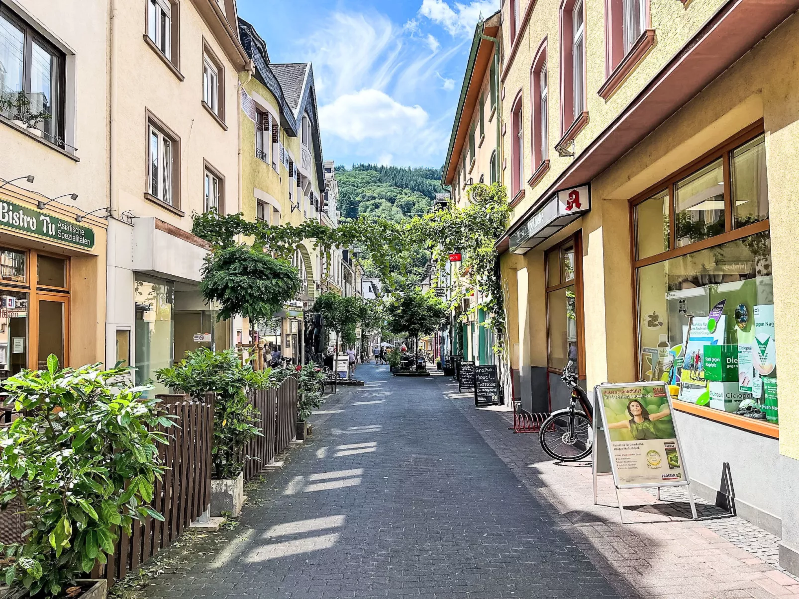 MoselRoyal NEU Luxus 2-4 P. Moselblick Klima - Umgebung