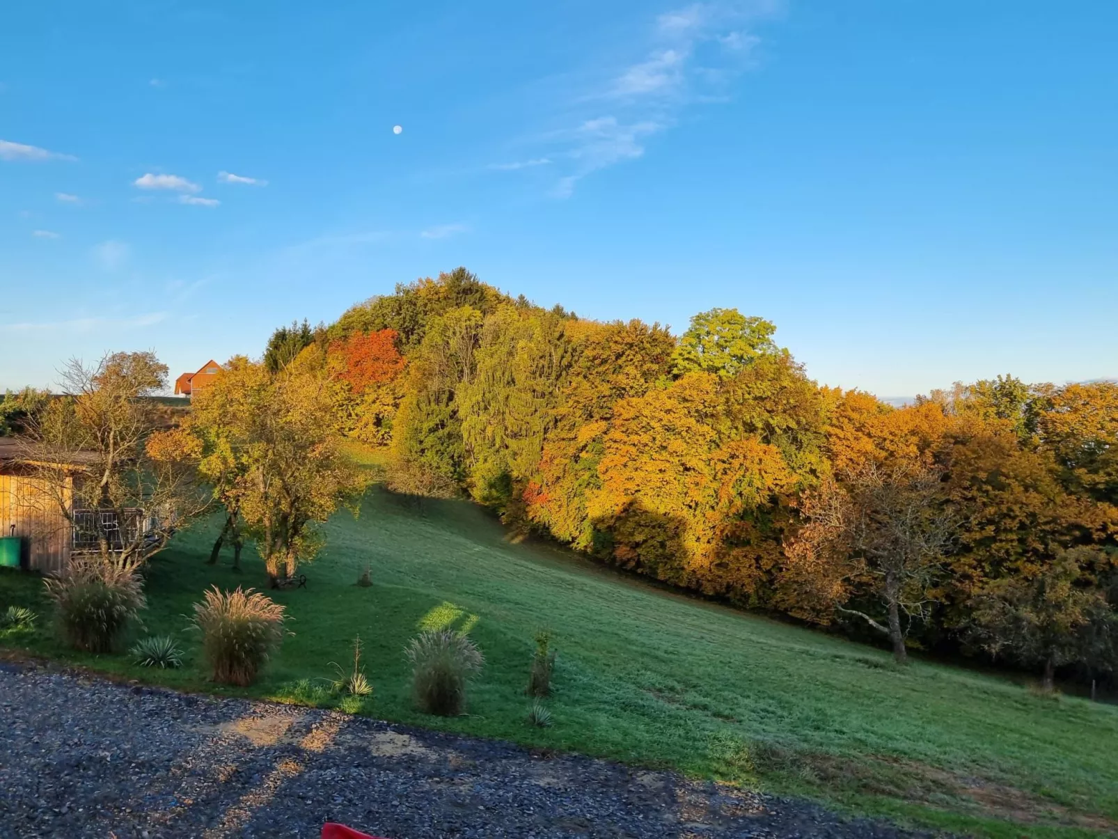 Appartement Apollo in der Wohlfühloase am Trausdorfberg mit Sauna Whirlpoolnutz-Image-tags.info