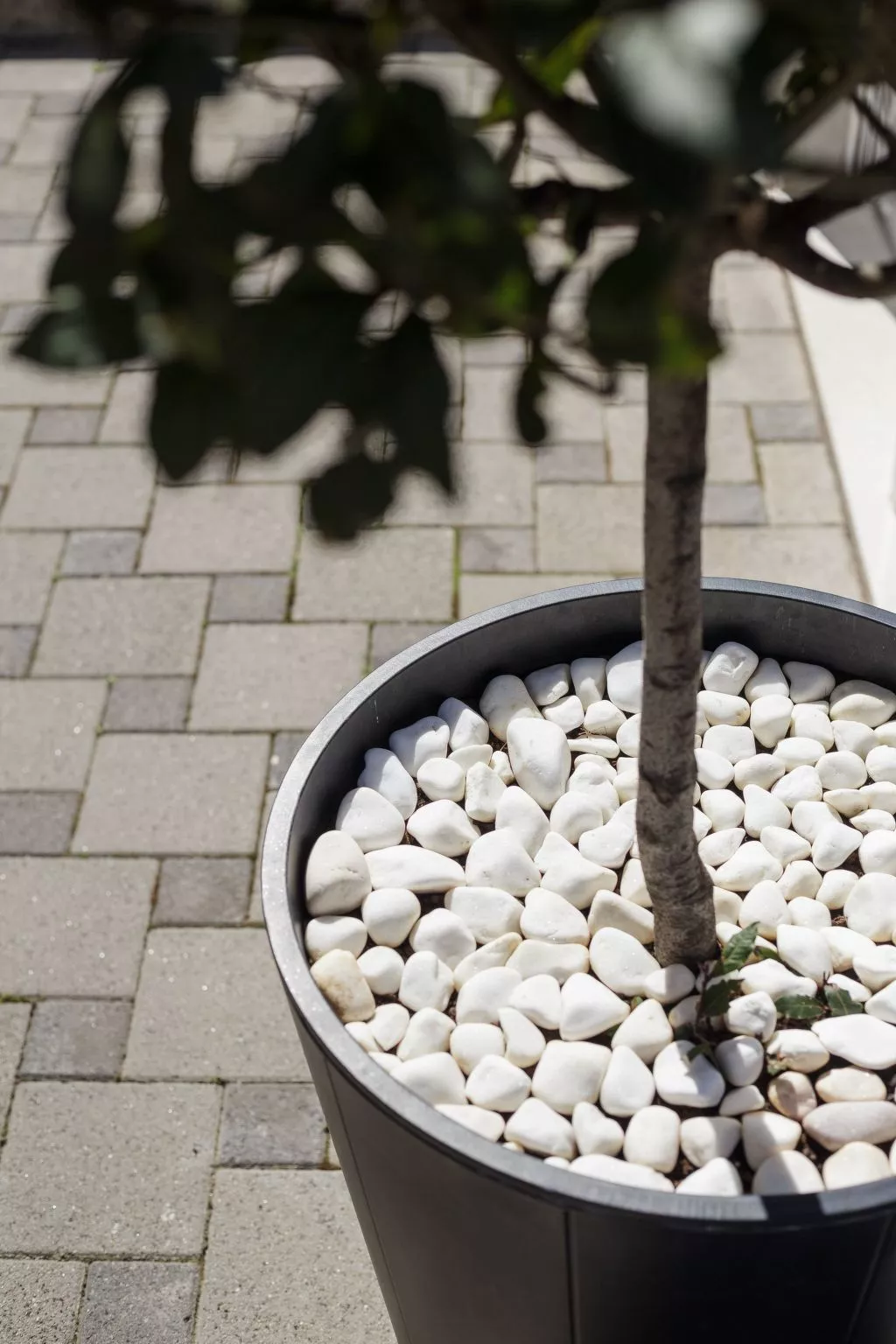 Ruhige Ferienwohnung mit Veranda und Garten - Image-tags.info