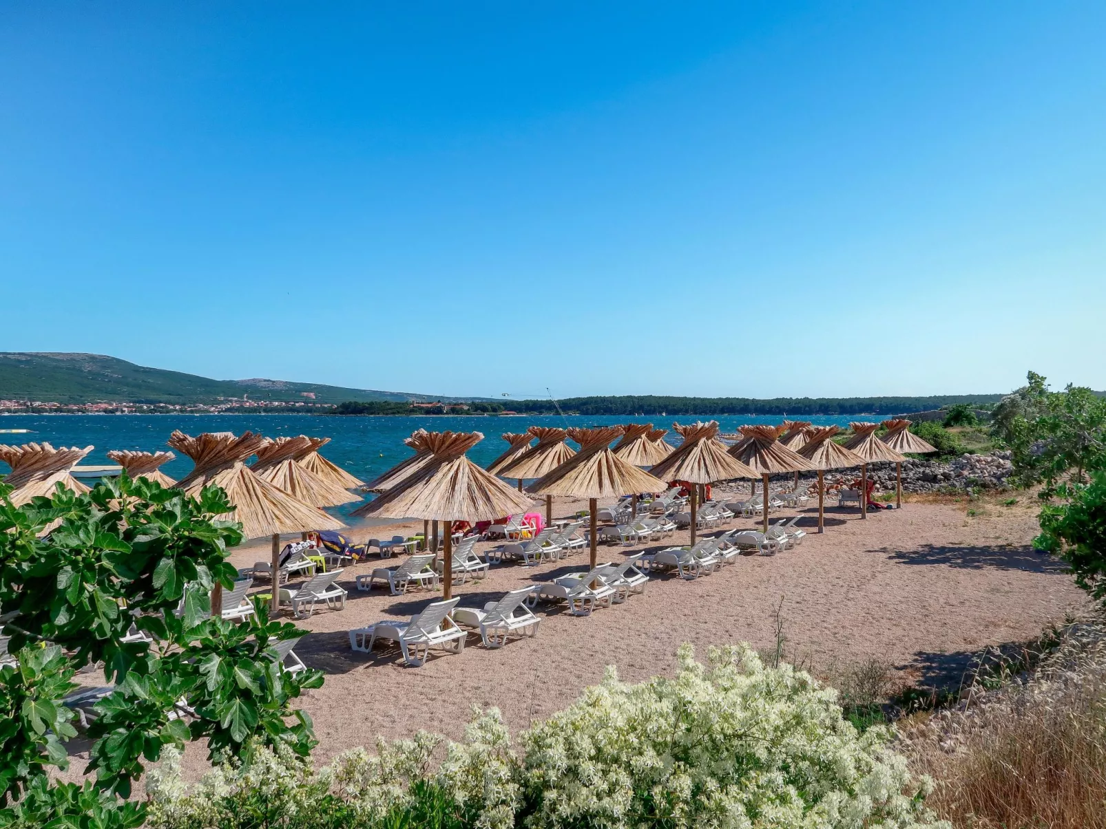 Villa "Olive Tree" mit Schwimmbad - Area