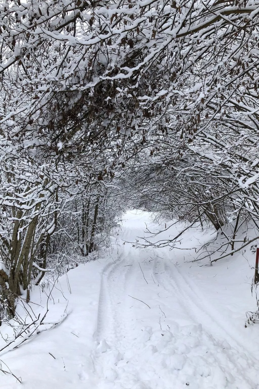 In Murau mit Privatem Pool - Image-tags.info