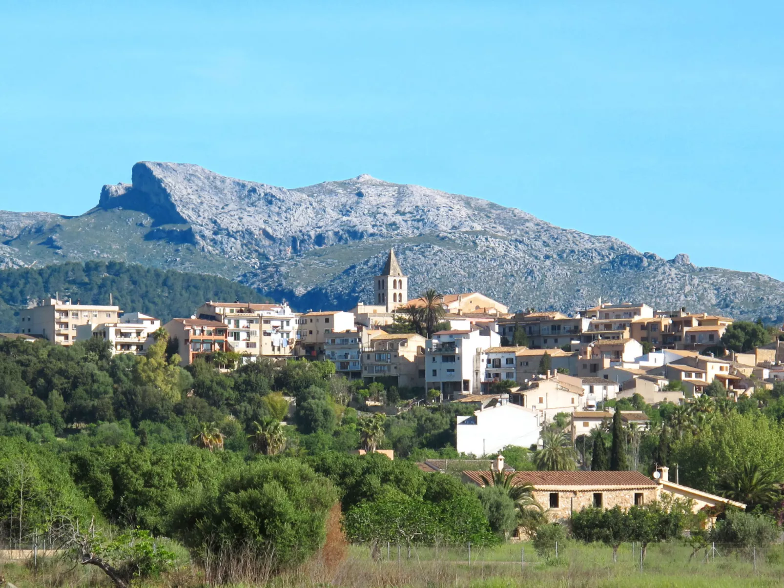 Urlaub Finca Mallorca Brücke - Area