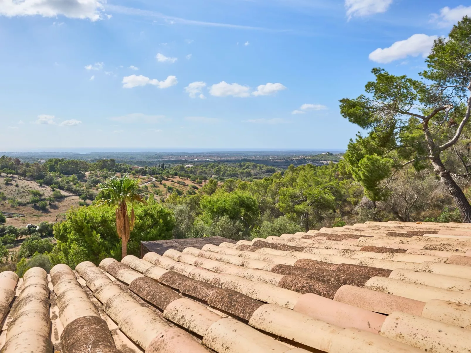 Puig de sa Figuera - Dehors