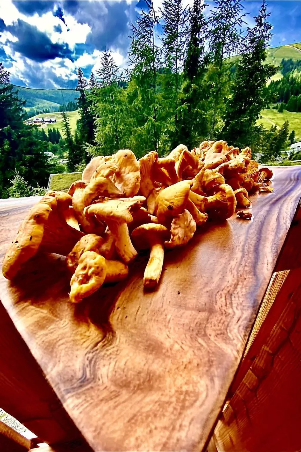 Jagdhütte - Image-tags.info