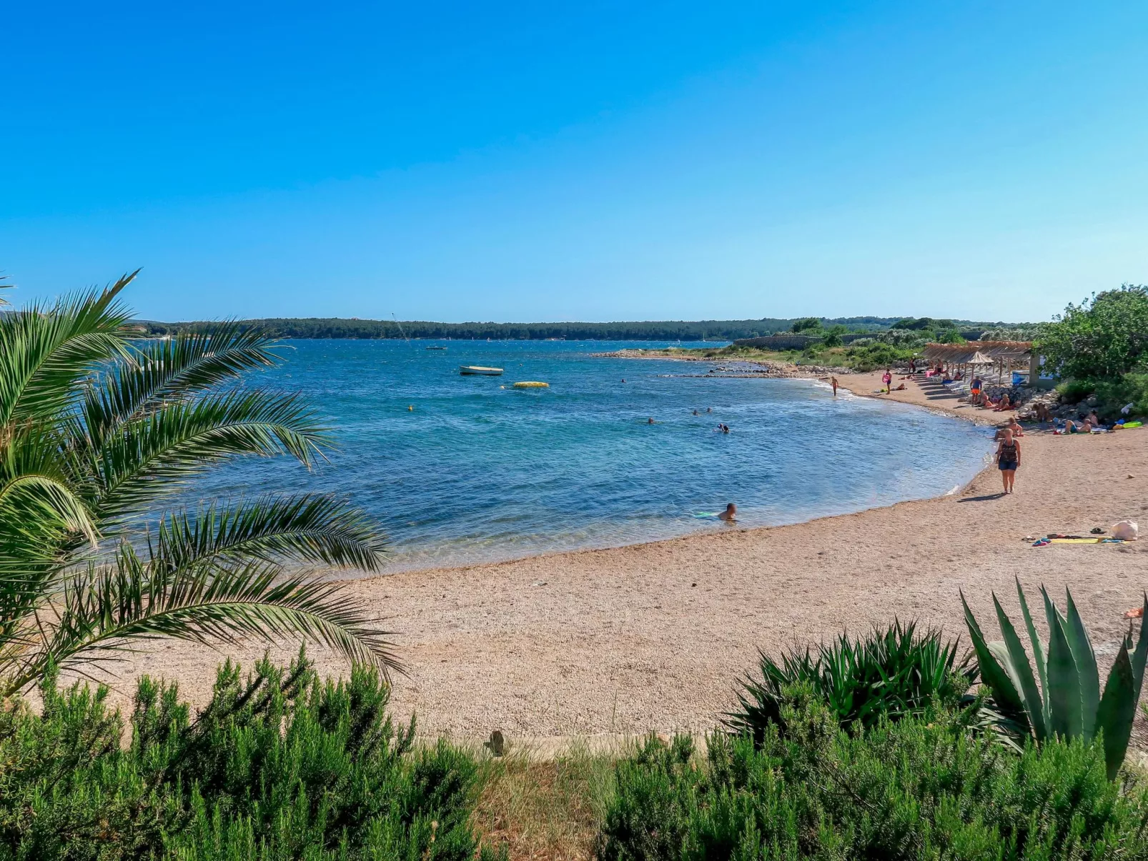 Villa "Olive Tree" mit Schwimmbad - Area