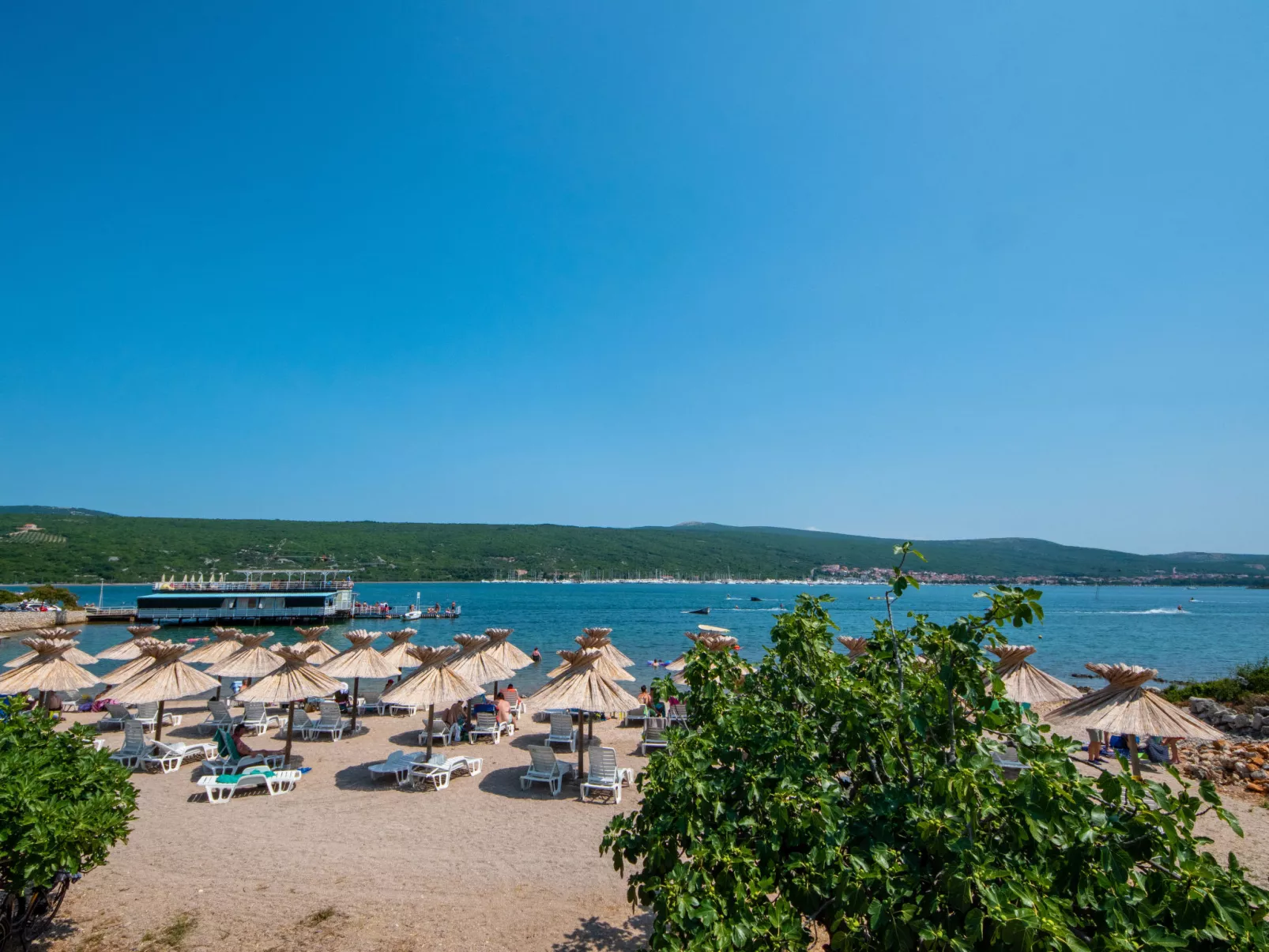 Villa "Olive Tree" mit Schwimmbad - Area