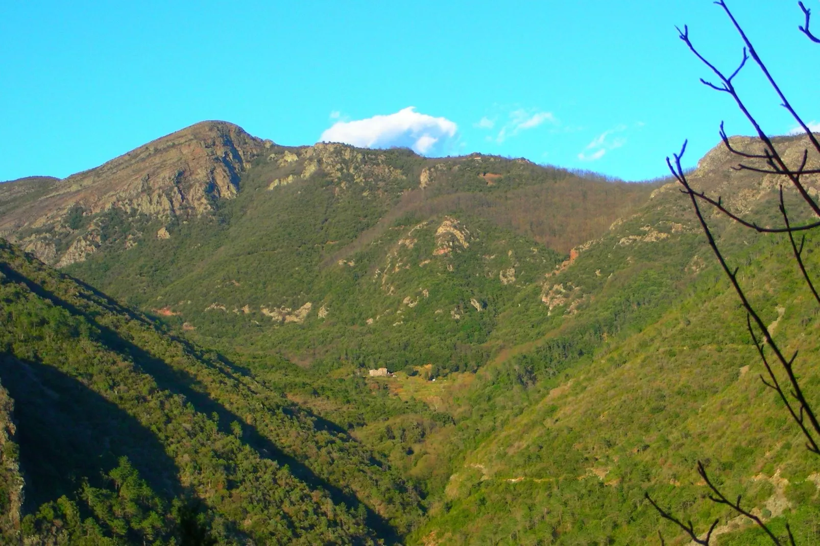 Gromoletta-View summer
