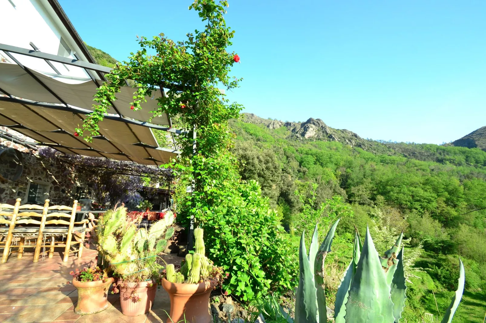 Gromoletta-View summer