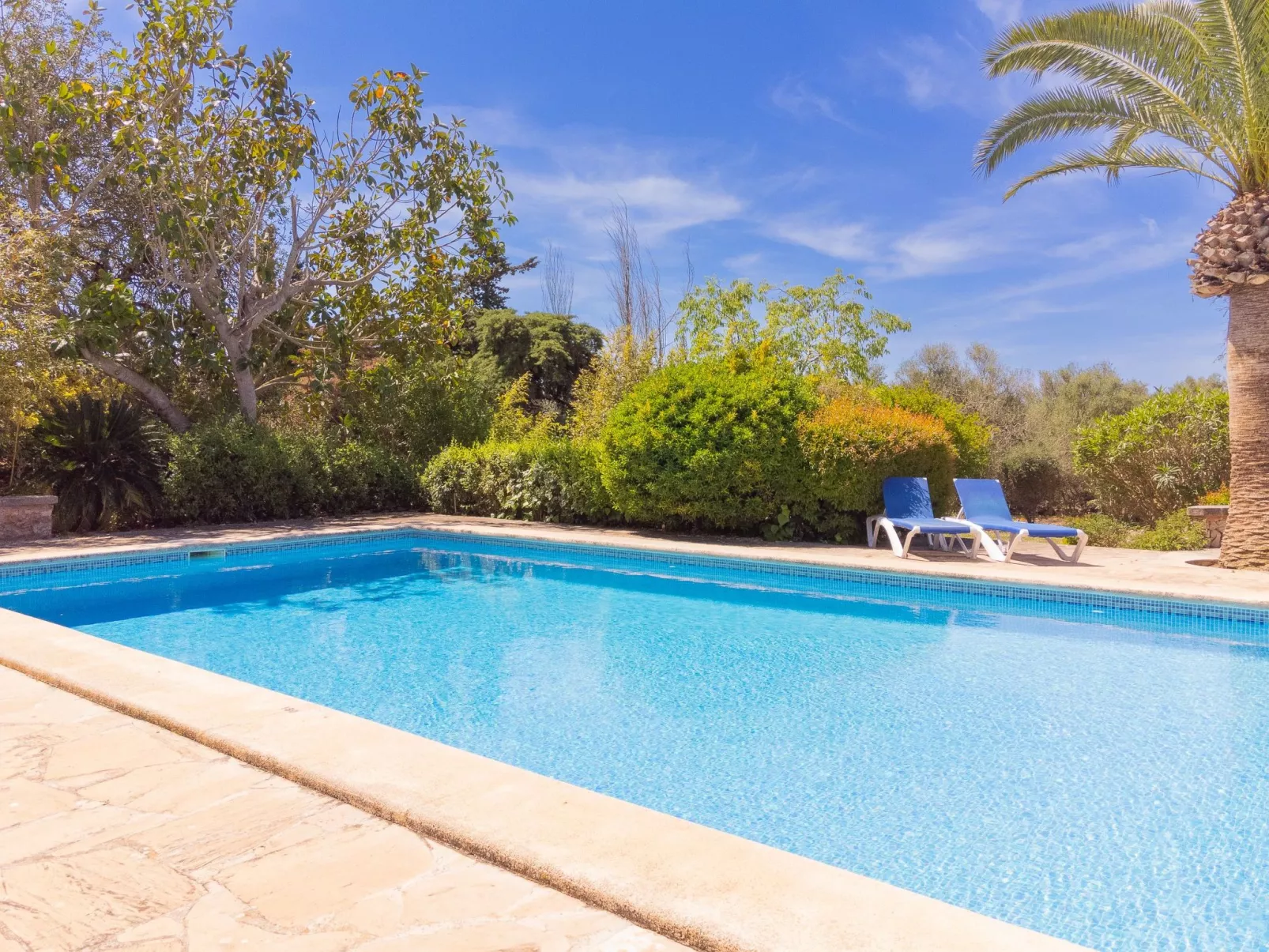 Finca Mal Ric - Dehors