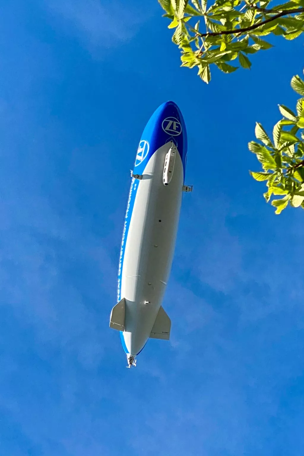 BLICKinsGRUEN - Image-tags.info