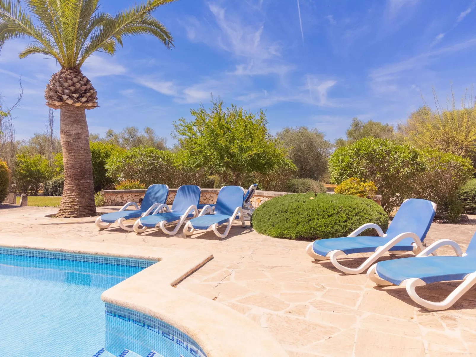 Finca Mal Ric - Dehors