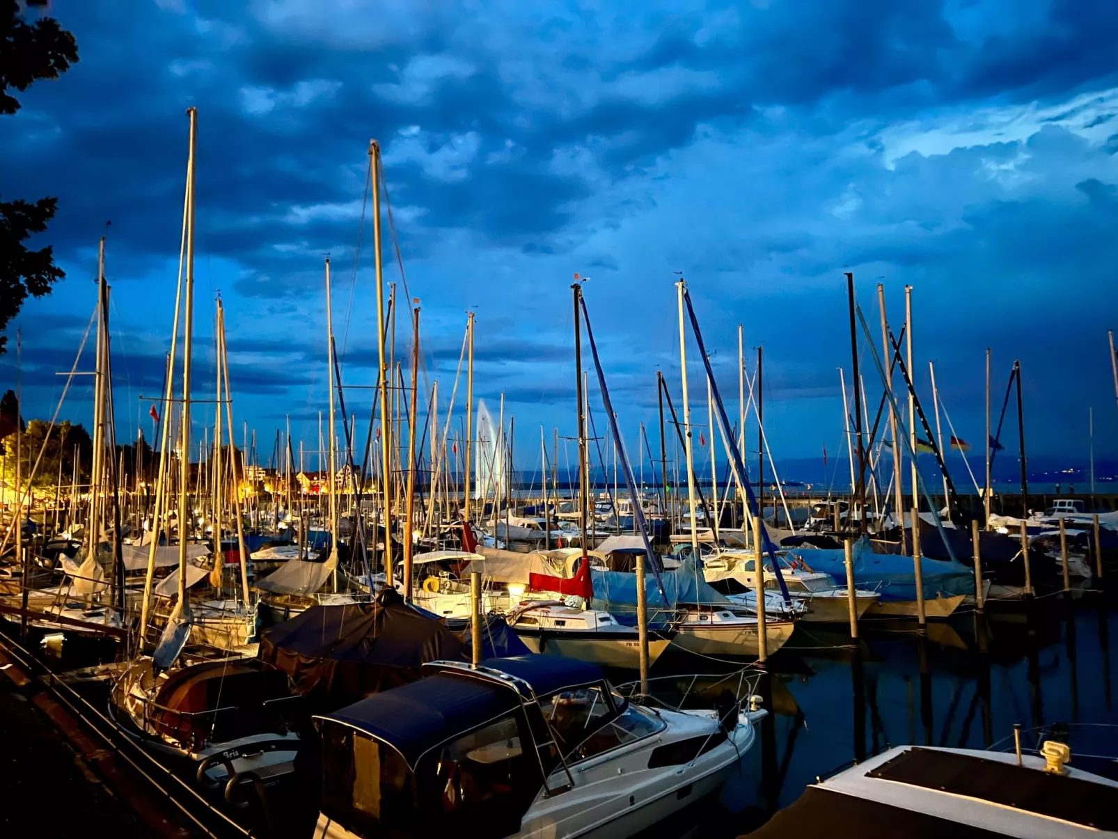 BLICKinsGRUEN - Image-tags.info