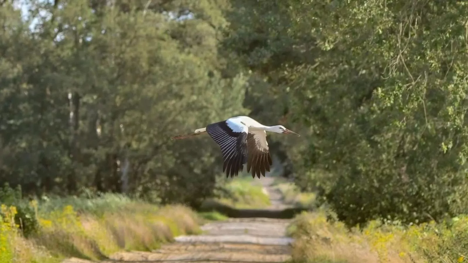 Lierelodge - Zones été à 1 km