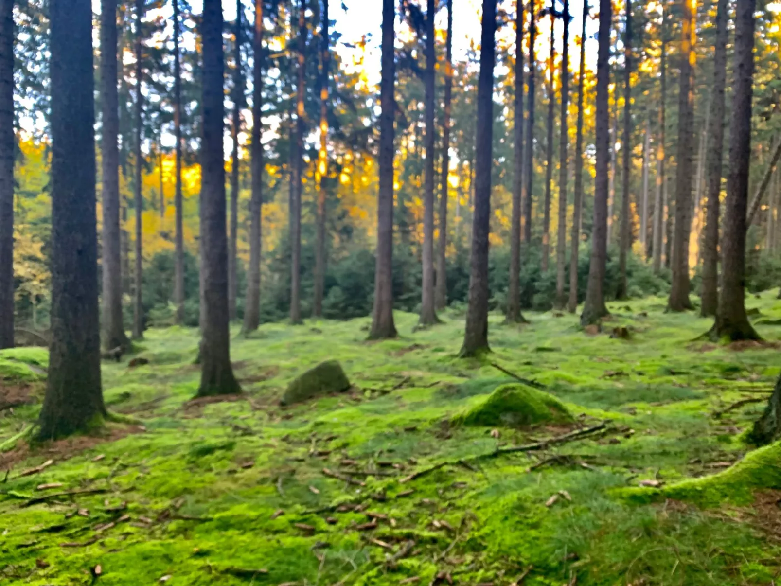 Jägerhaus - Image-tags.info