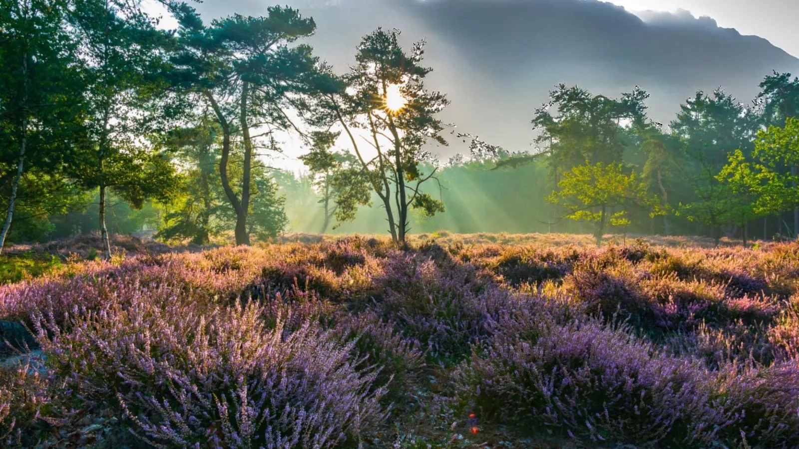 Lierelodge - Zones été à 1 km