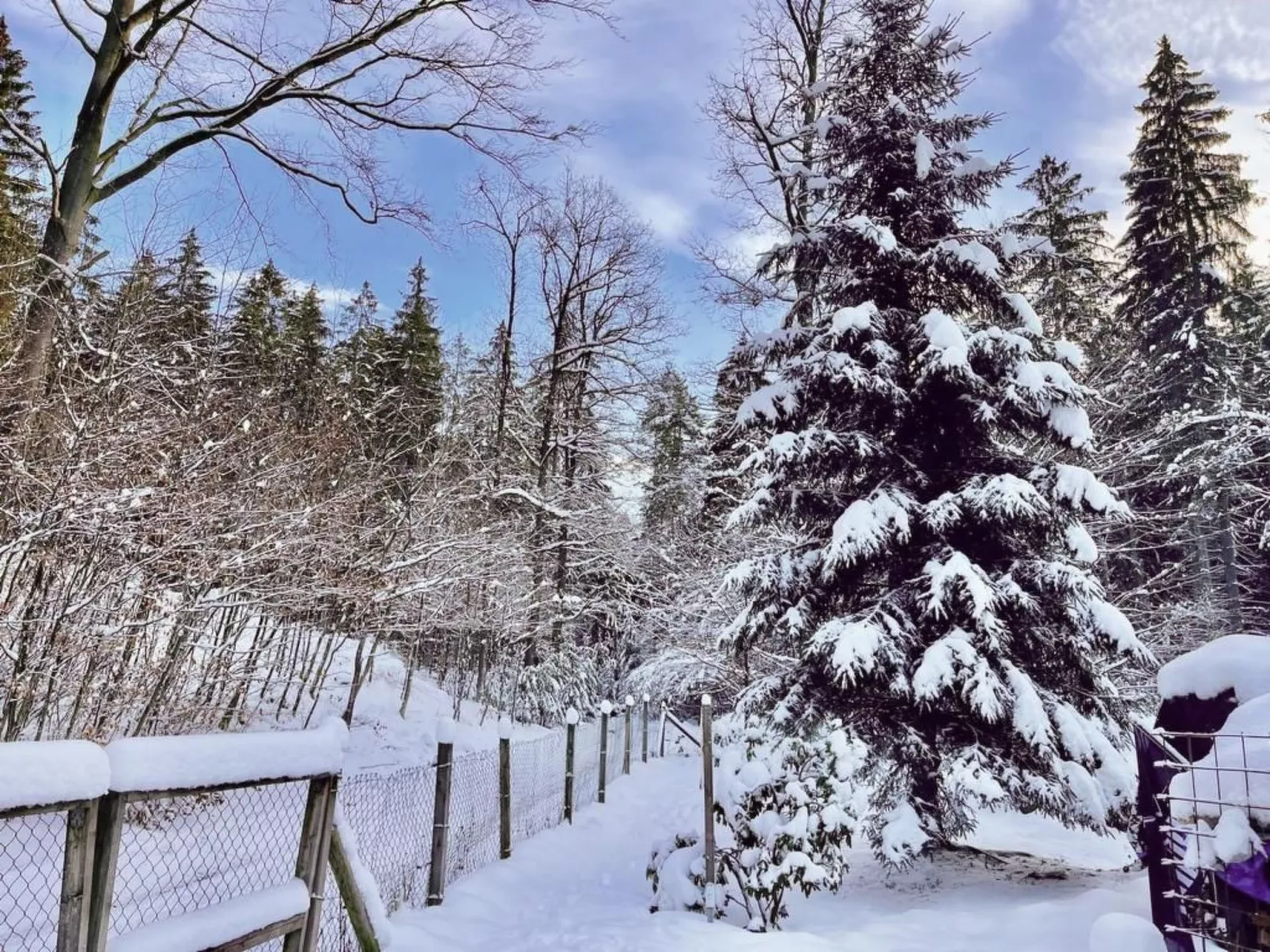 Jägerhaus - Image-tags.info