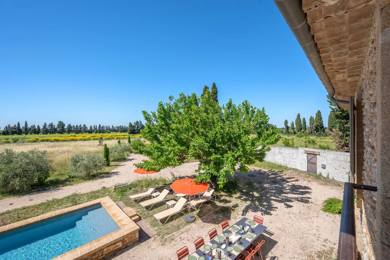 Mas du Mûrier-Vue d'été