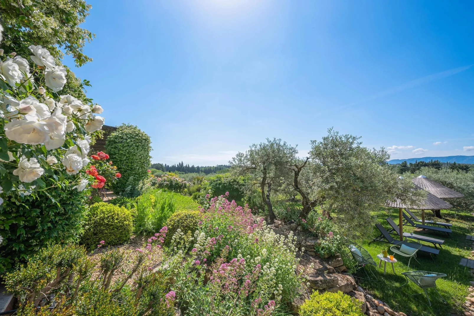 Le Mas Elaïa  votre havre familial avec piscine privée-Jardins en été