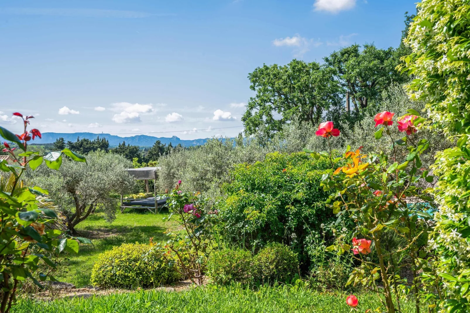 Le Mas Elaïa  votre havre familial avec piscine privée-Jardins en été
