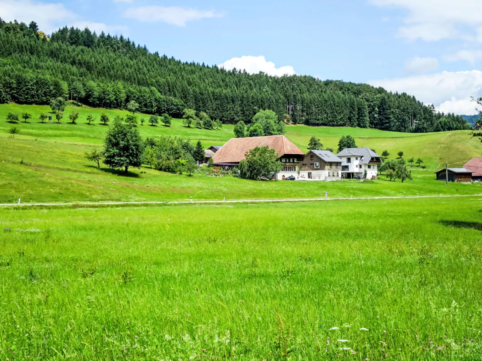 Kinast (HFT202) - Draußen