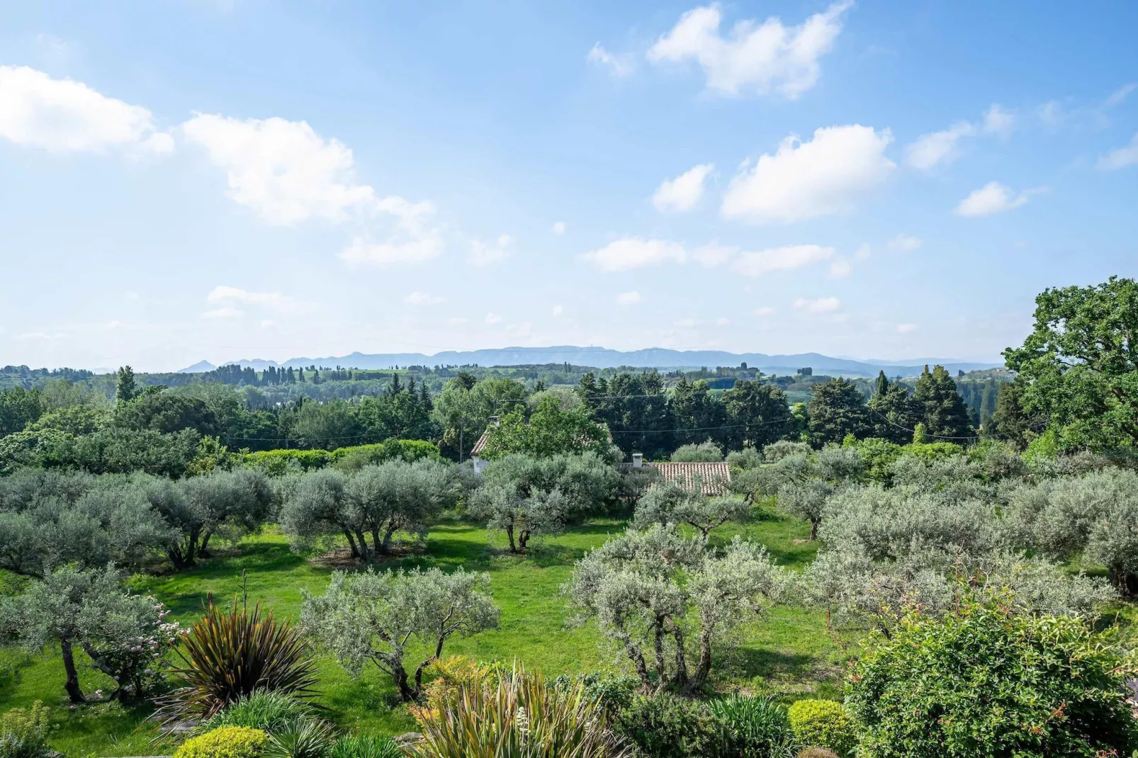 Le Mas Elaïa  votre havre familial avec piscine privée-Jardins en été