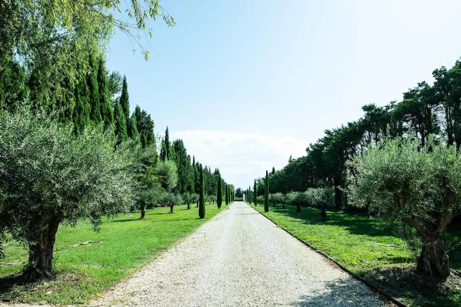 Charmant Mas Provençal avec piscine et jacuzzis-Gardens in summer