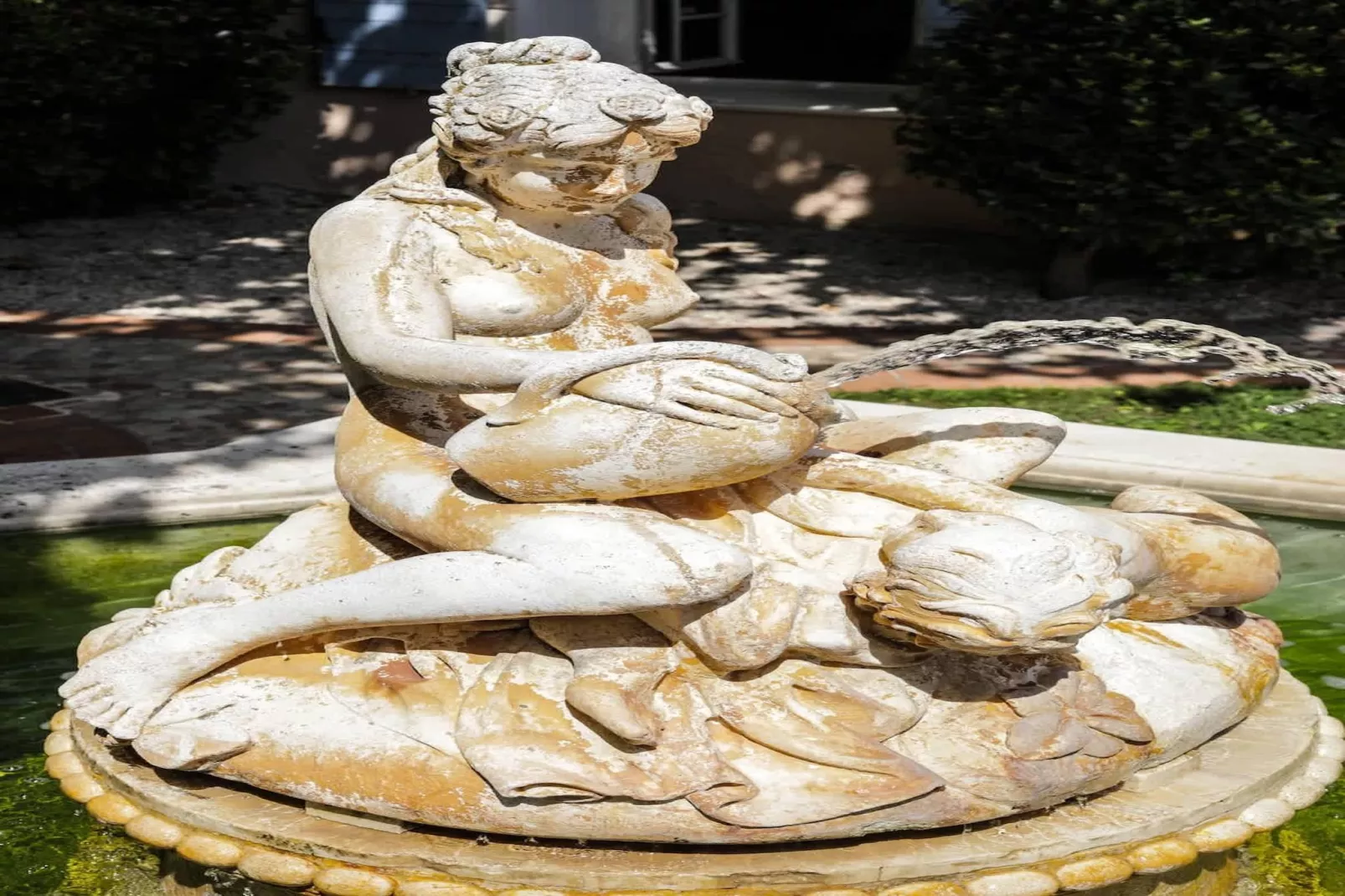 Charmant Mas Provençal avec piscine et jacuzzis-Ambiance