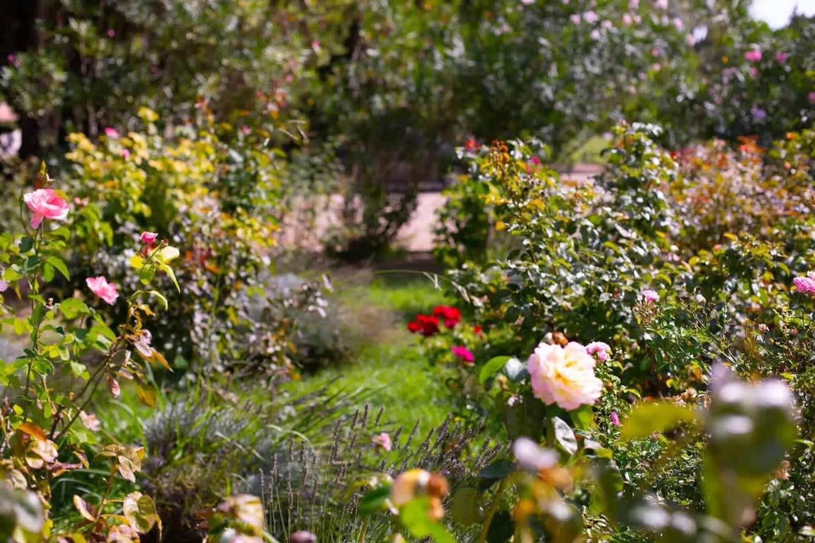 Charmant Mas Provençal avec piscine et jacuzzis-Ambiance