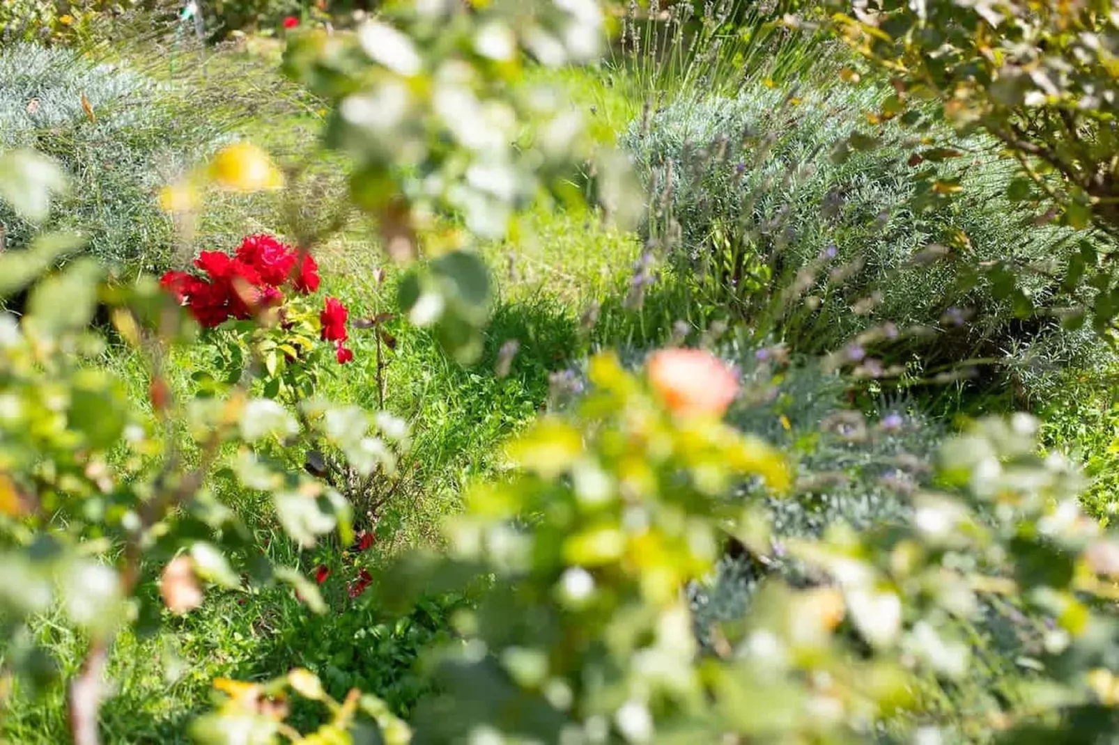 Charmant Mas Provençal avec piscine et jacuzzis-Ambiance