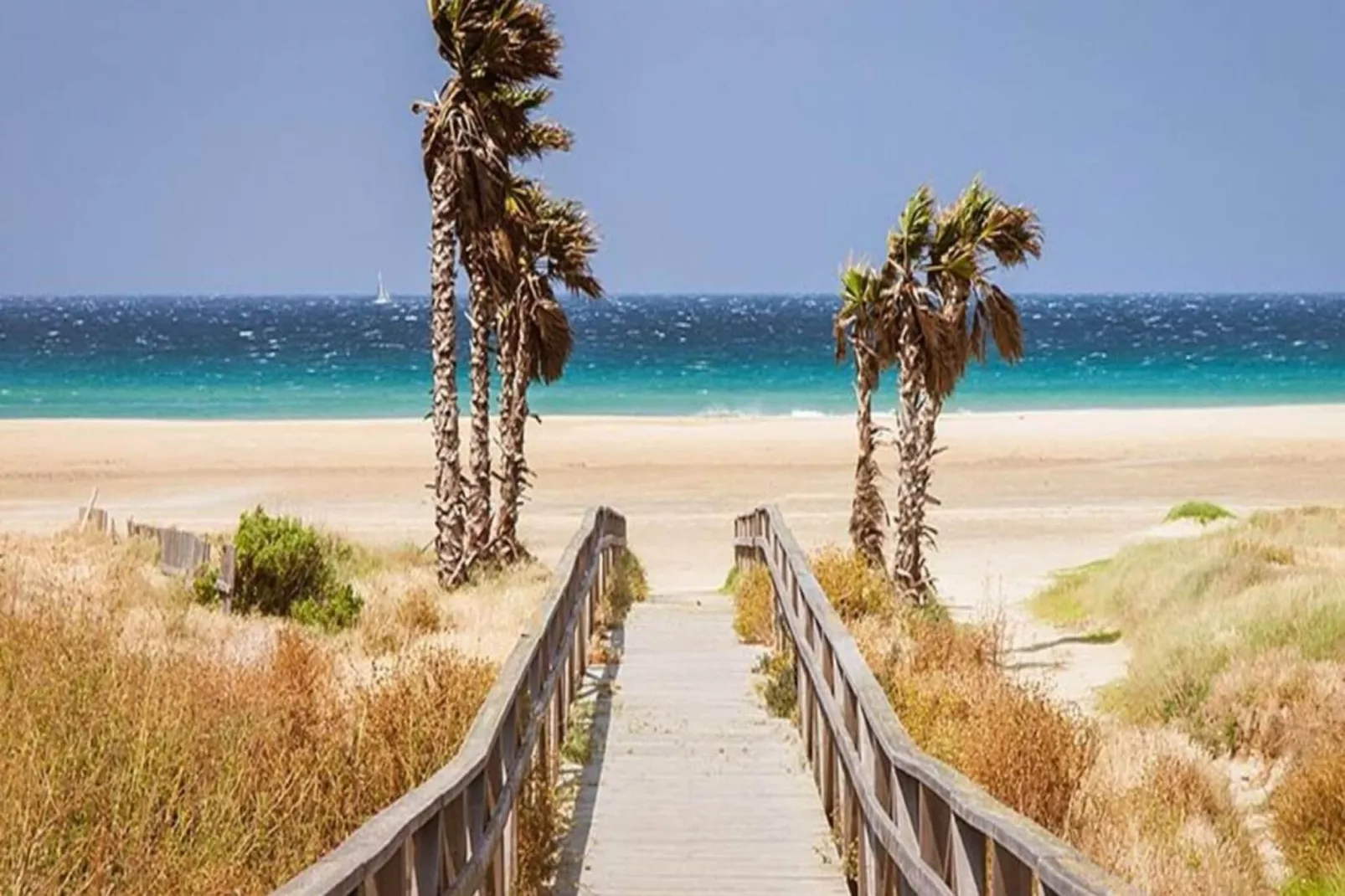 4685-+34618736920-Areas within 5km in summer