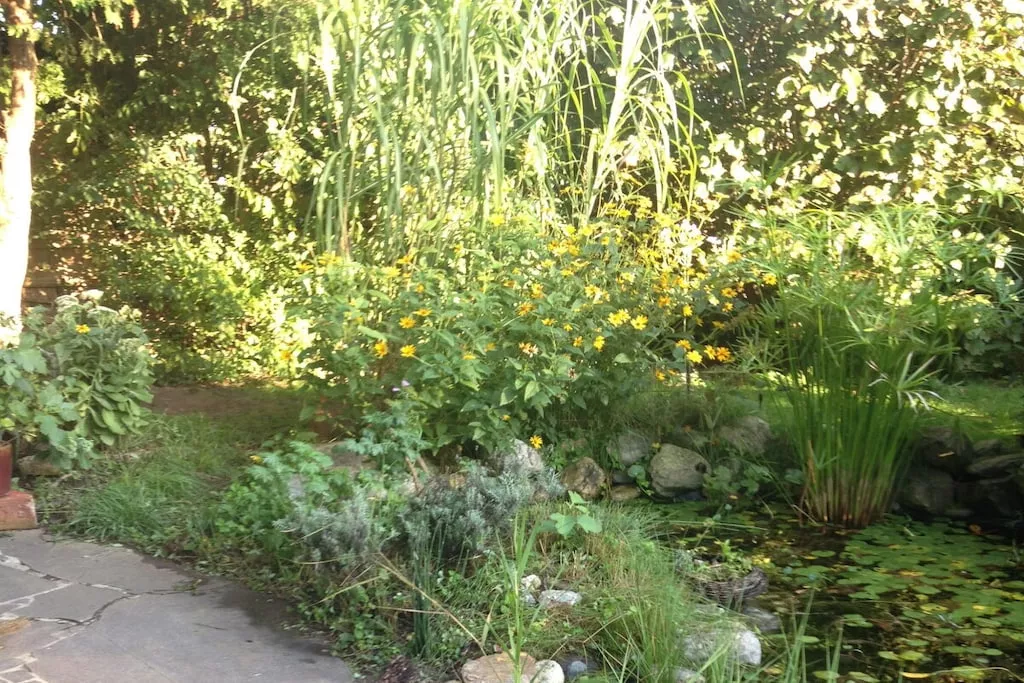 426460 - Nicht zugeordnet