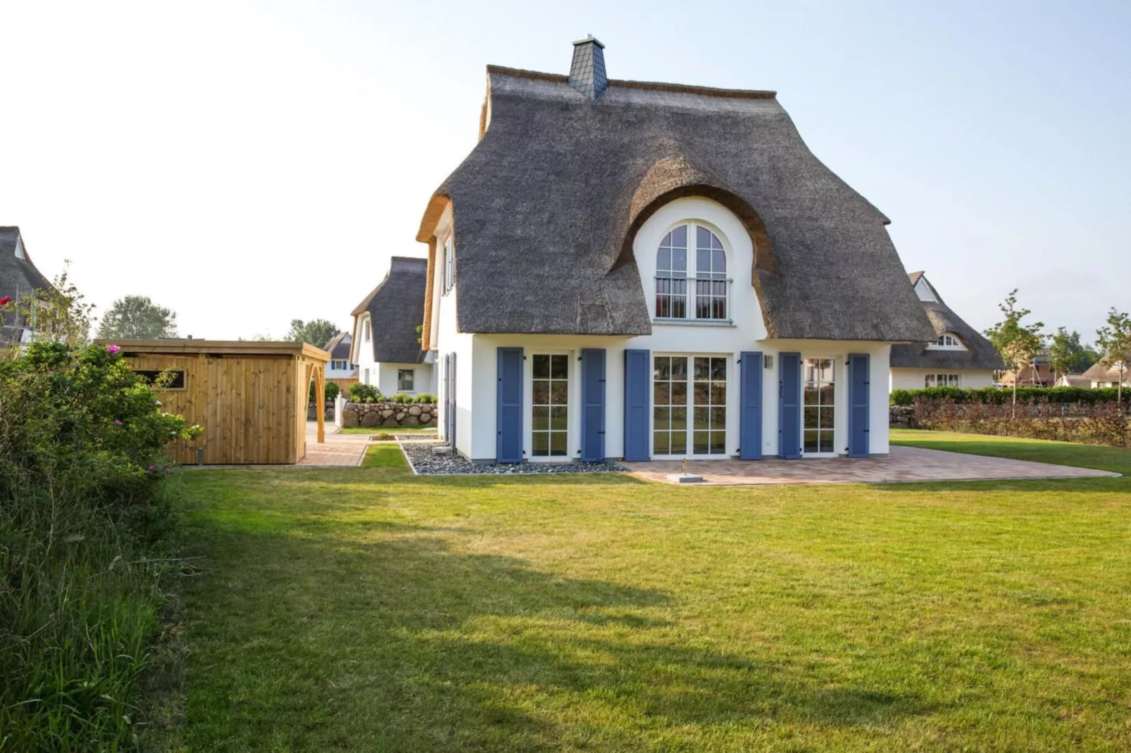 Schilfrohrsänger 43-Extérieur été