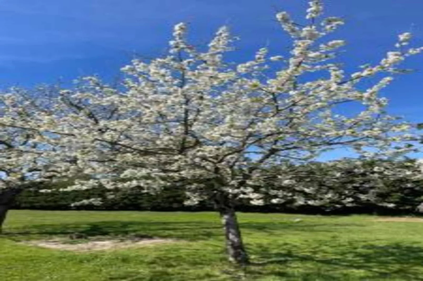 Chambre zen chez l'habitant avec piscine-Gebiete Sommer 20 km