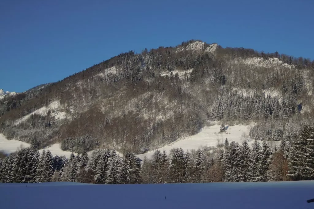 79193 - Nicht zugeordnet