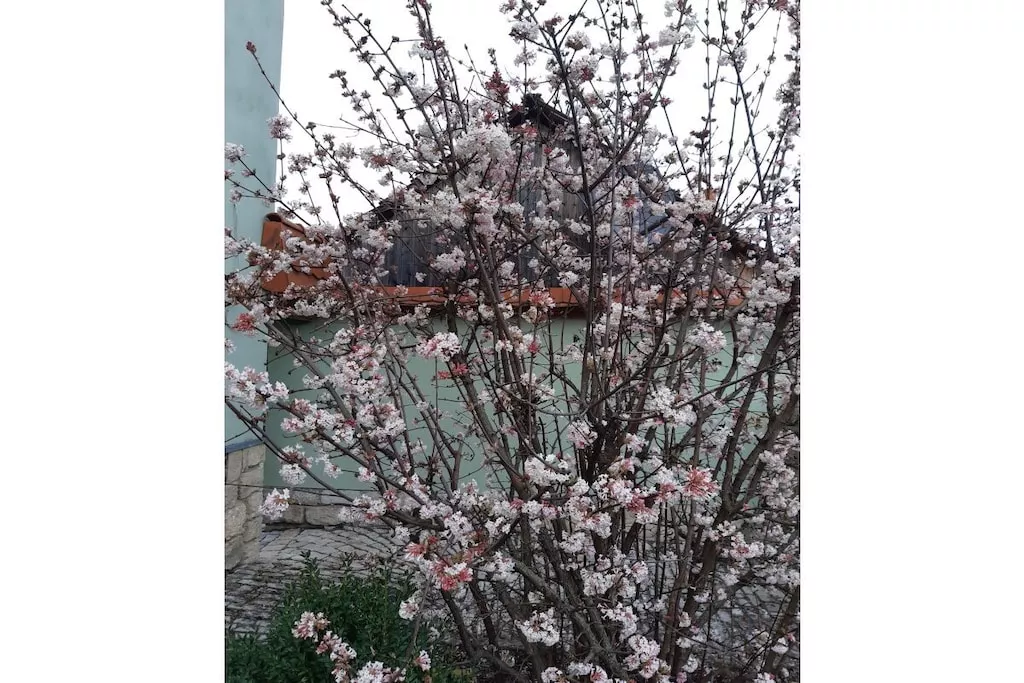 489710-Nicht zugeordnet