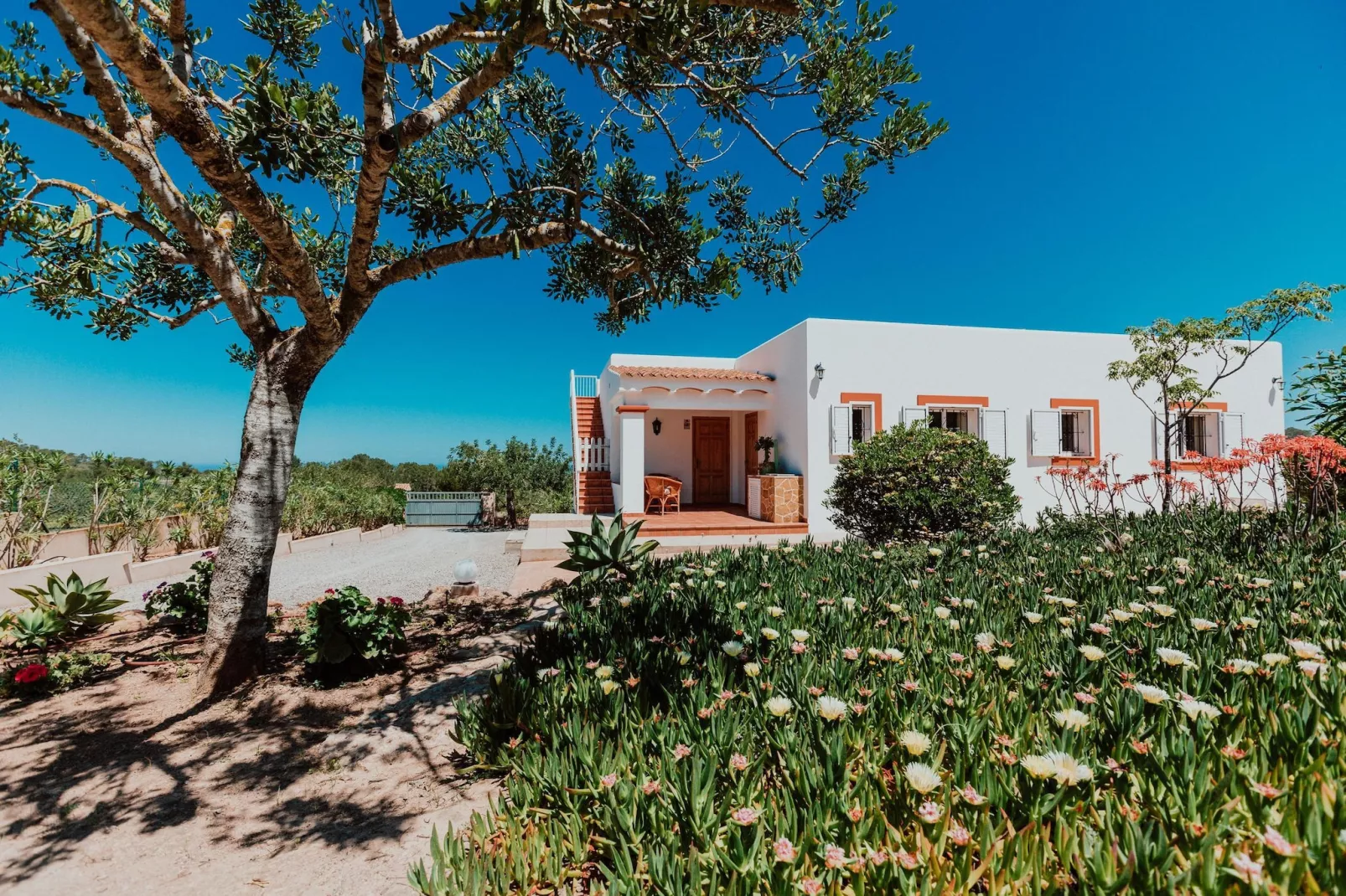 Cala Conta - Extérieur été