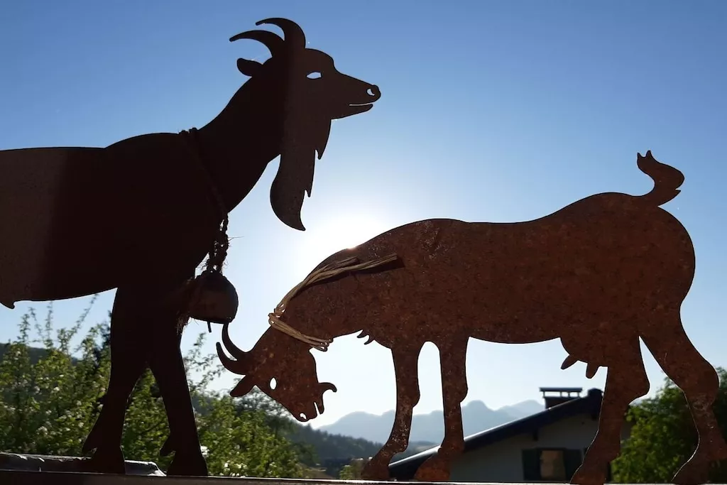 515584 - Nicht zugeordnet