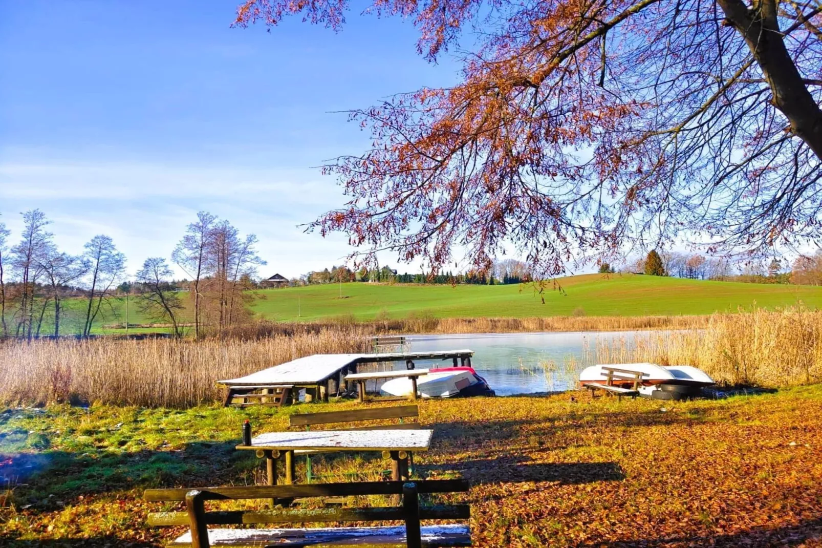 Apartments Rekowo 40 qm - Gardens in summer