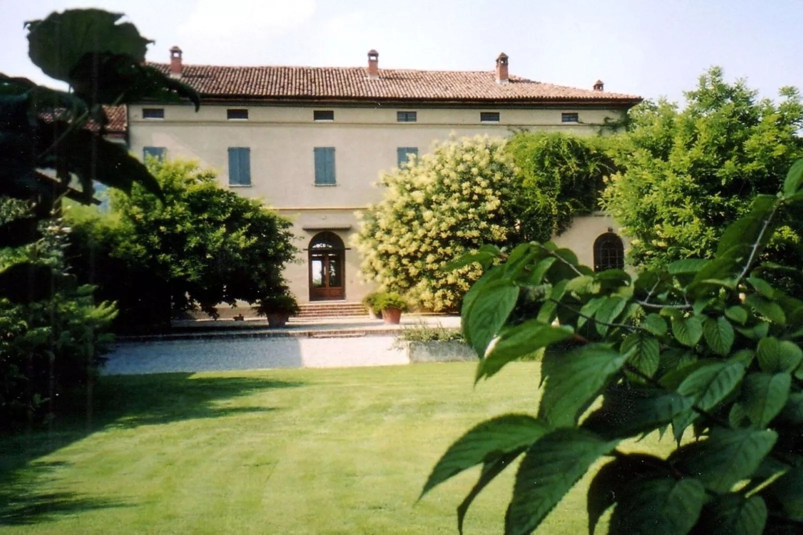 Violino Angelico 2-Exterior summer