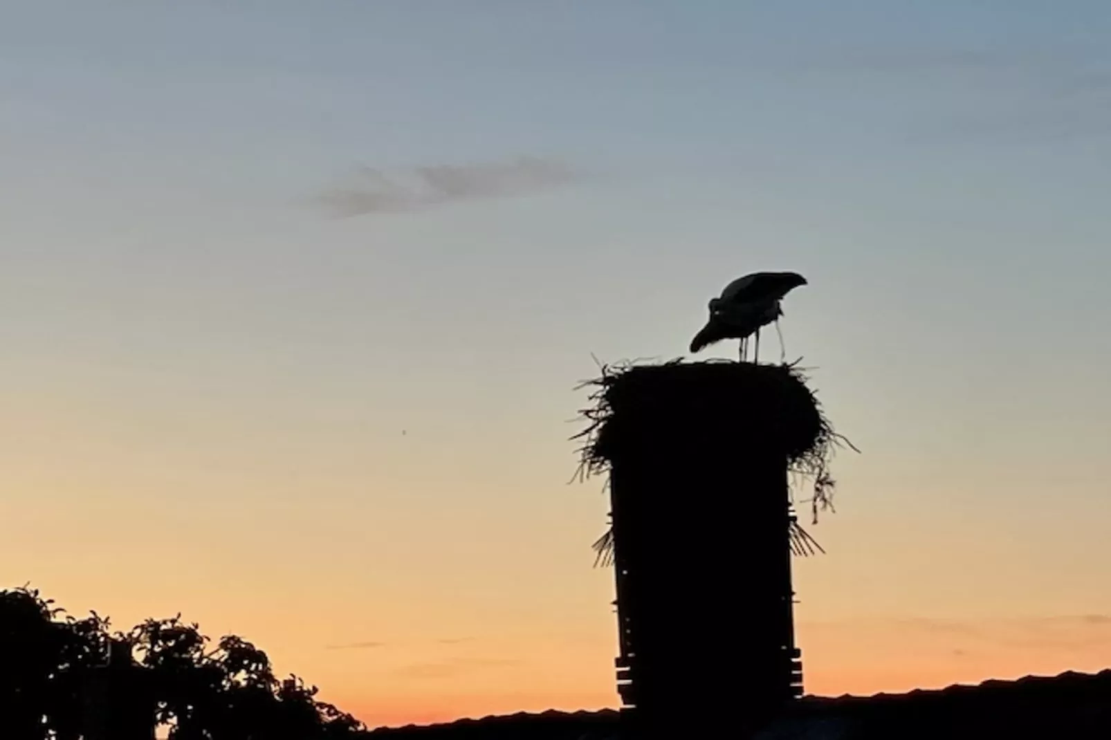 Fewo Gielow-Gebiete Sommer 1 km
