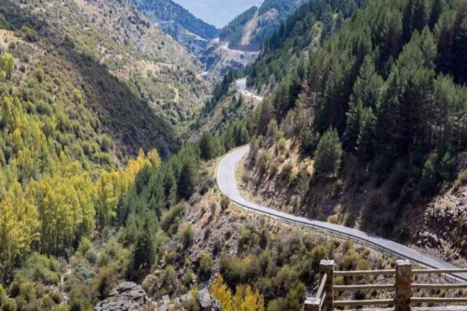 1369-Ginebra-Areas within 5km in summer