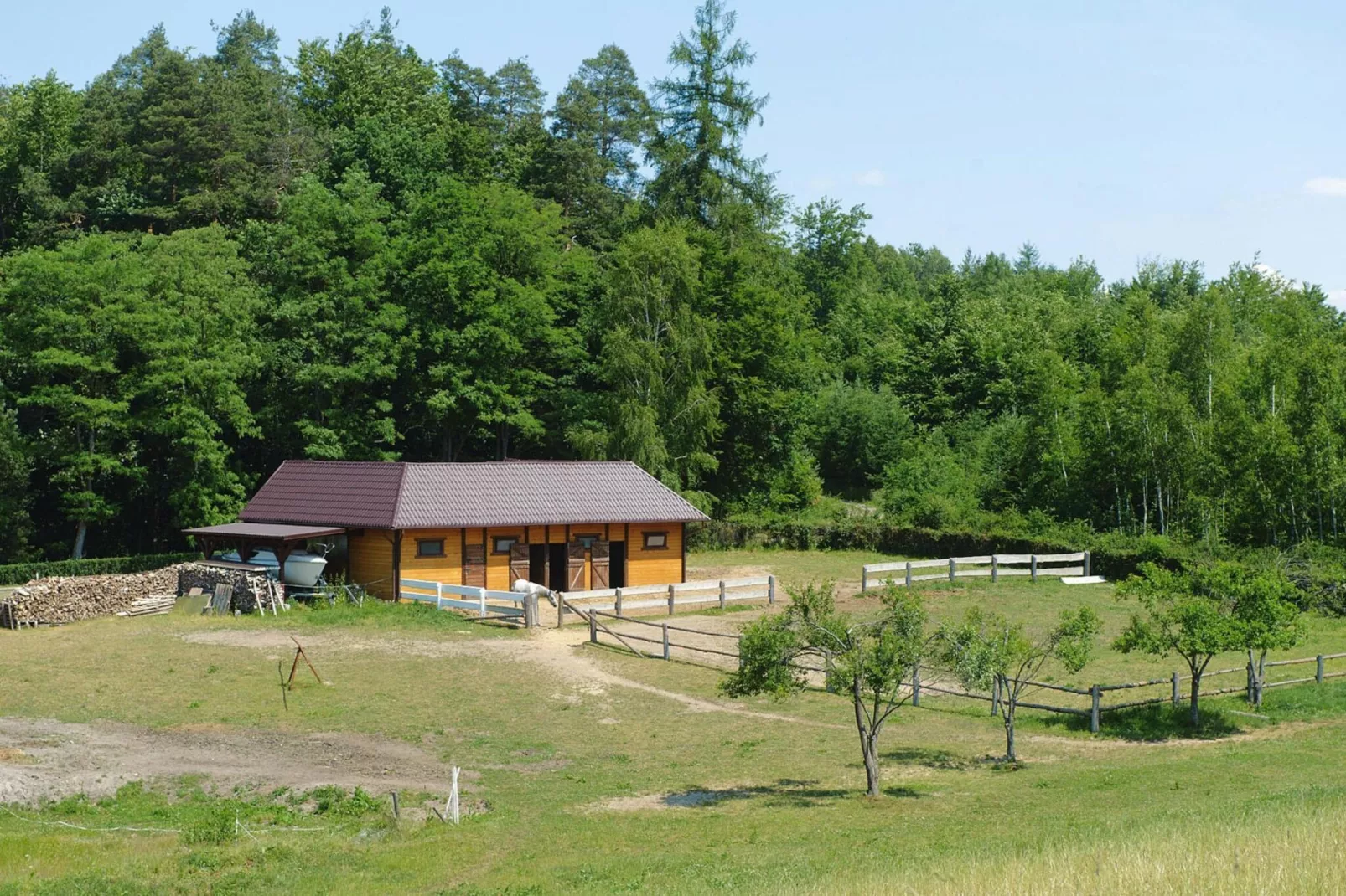 Apartments Rekowo 40 qm - Exterior in summer