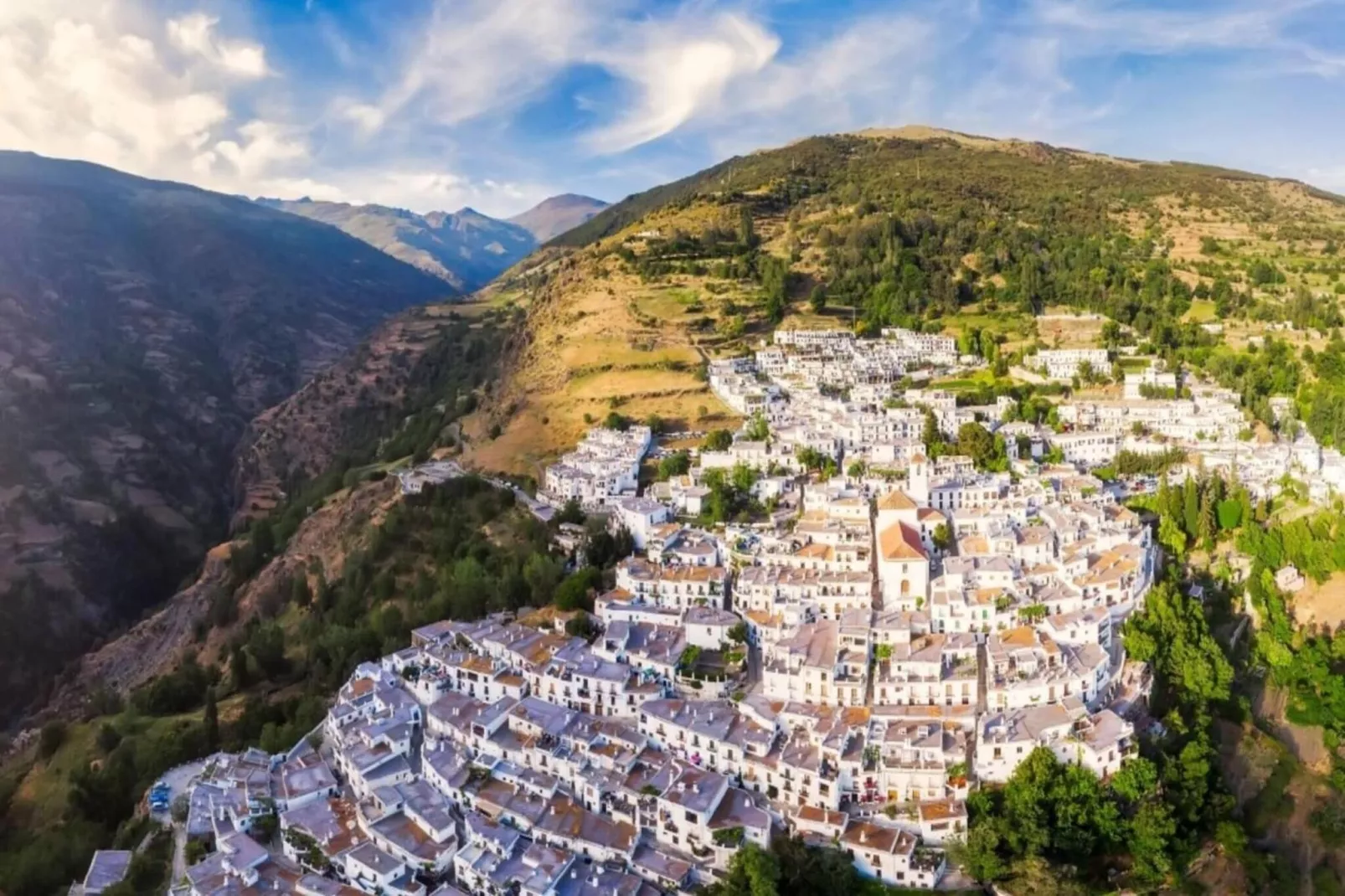 4784-+34616098696-Areas within 1km in summer