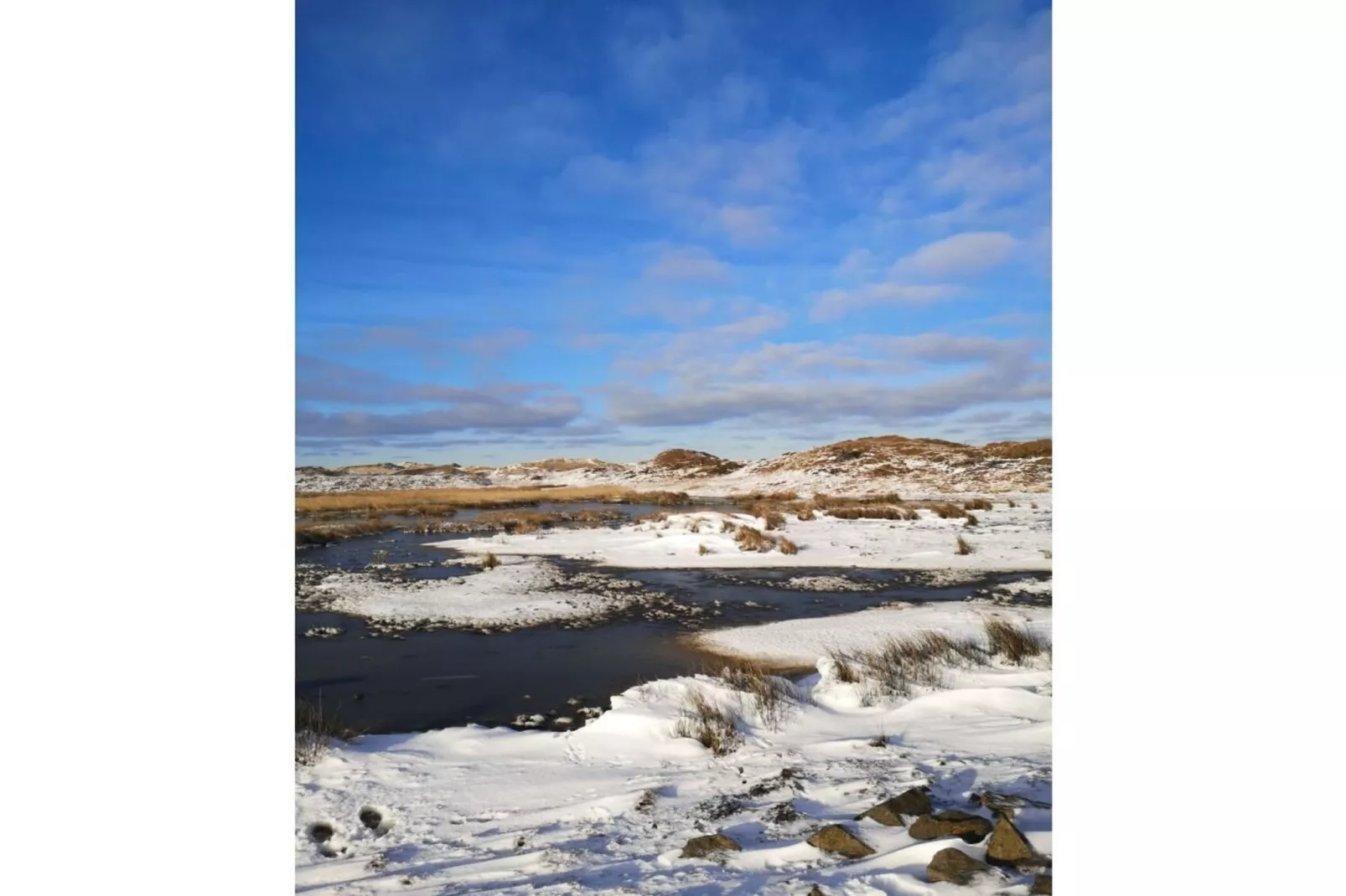 488119-Gebiet Winter 5 km