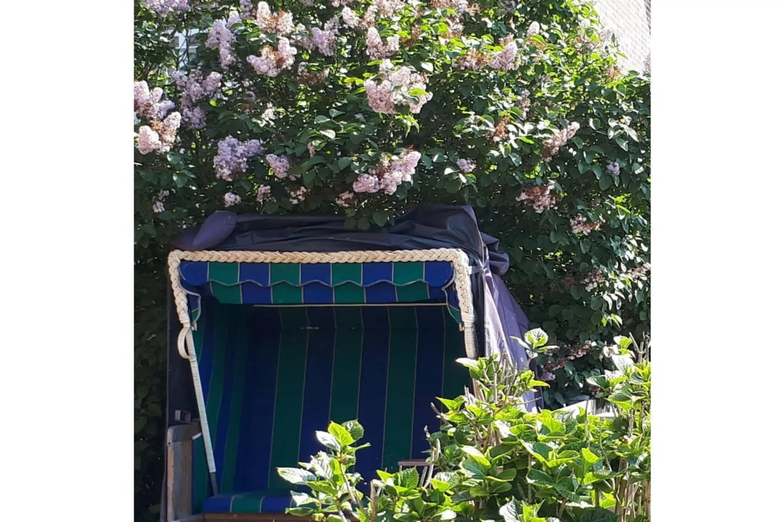 201689-Gardens in summer