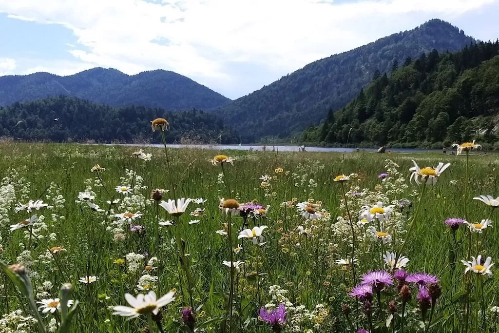 276650 - Nicht zugeordnet