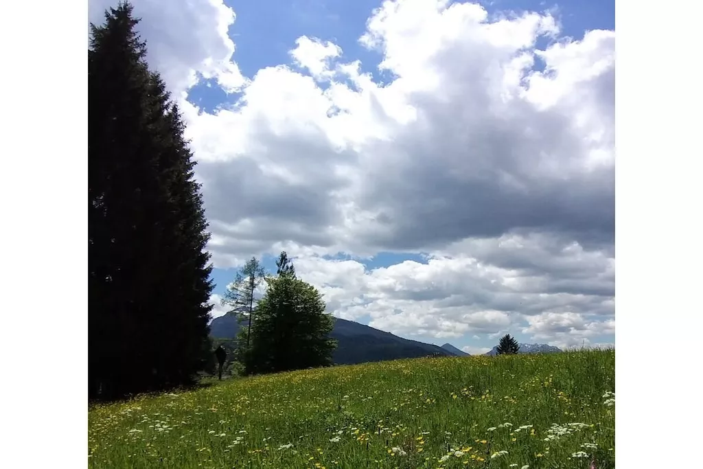 515584 - Nicht zugeordnet