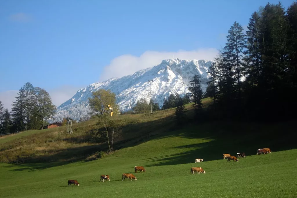 79193 - Nicht zugeordnet