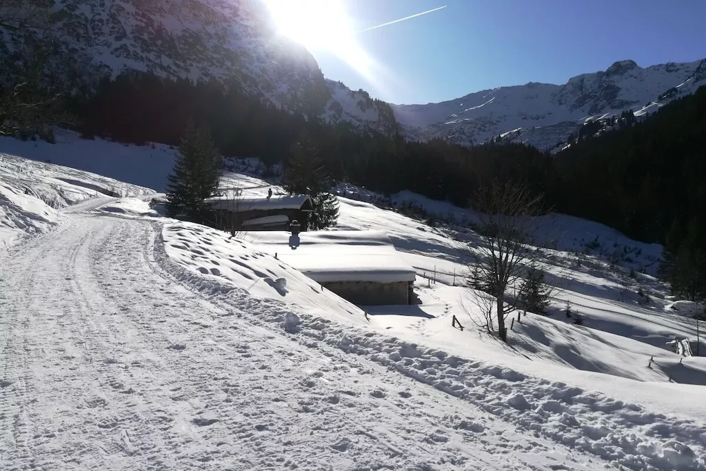 15559 - Nicht zugeordnet